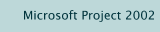 Microsoft Project 2002